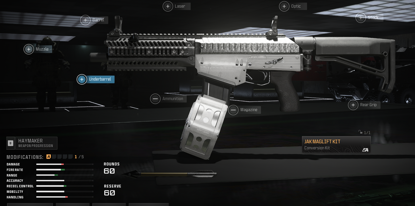 Haymaker modded ( 2 bullet body  1 headshot !!!!!)