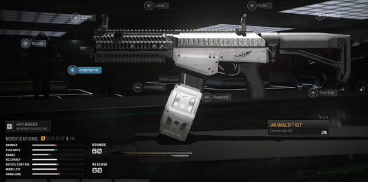 Haymaker modded ( 2 bullet body  1 headshot !!!!!)